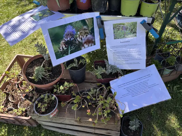 Foto: Elisabeth Kloiber/MeinBezirk