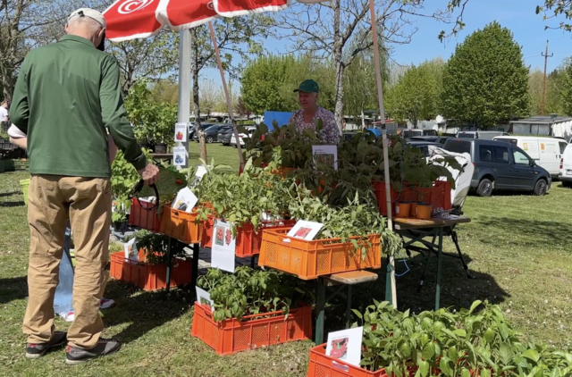 Foto: Elisabeth Kloiber/MeinBezirk