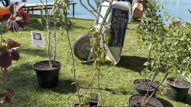 Foto: Elisabeth Kloiber/MeinBezirk