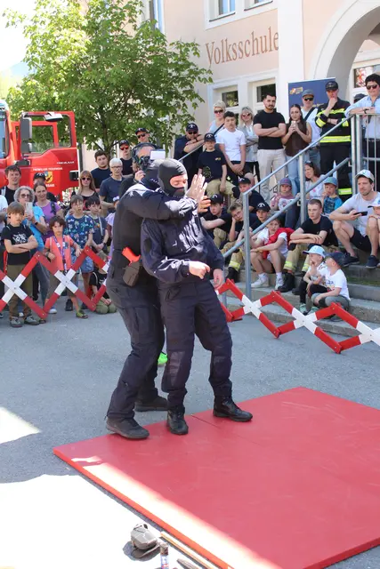 Vorführung der Justizwache