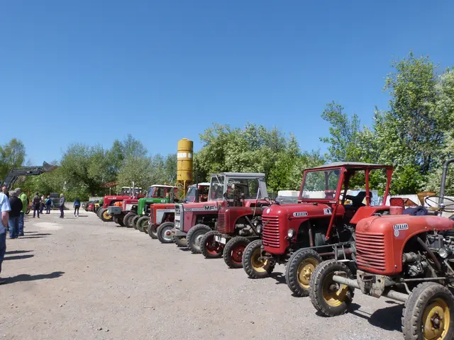 Foto: Vanessa Wittmann