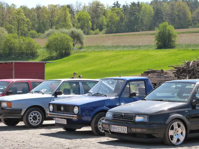 Foto: Vanessa Wittmann