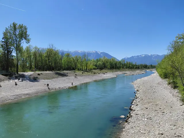 Die neu renaturierte Saalach  | Foto: H.Bachinger