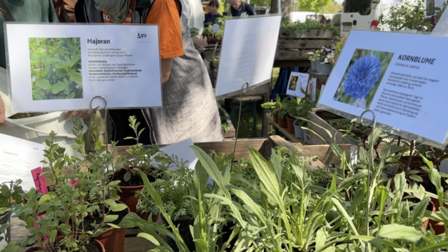 Foto: Elisabeth Kloiber/MeinBezirk