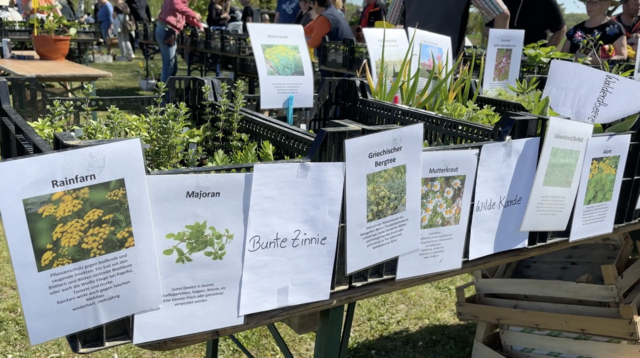 Foto: Elisabeth Kloiber/MeinBezirk