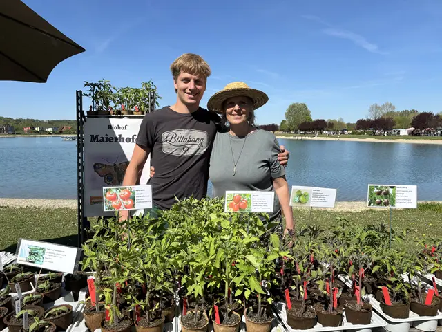 Der Biohof Maierhofer aus Dienserdorf hatte viele Pflanzen zur Auswahl.  | Foto: Elisabeth Kloiber/MeinBezirk