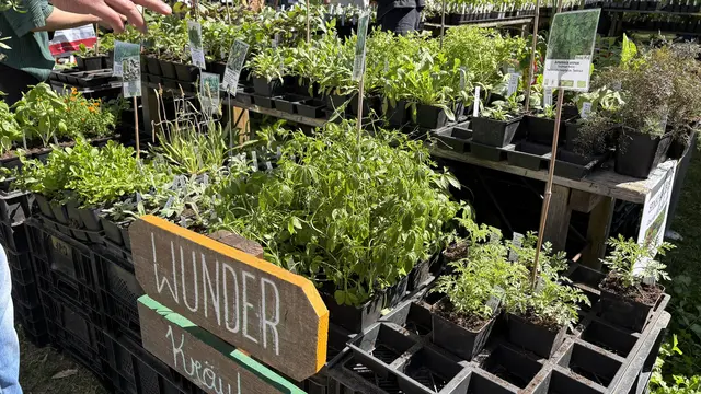 Foto: Elisabeth Kloiber/MeinBezirk