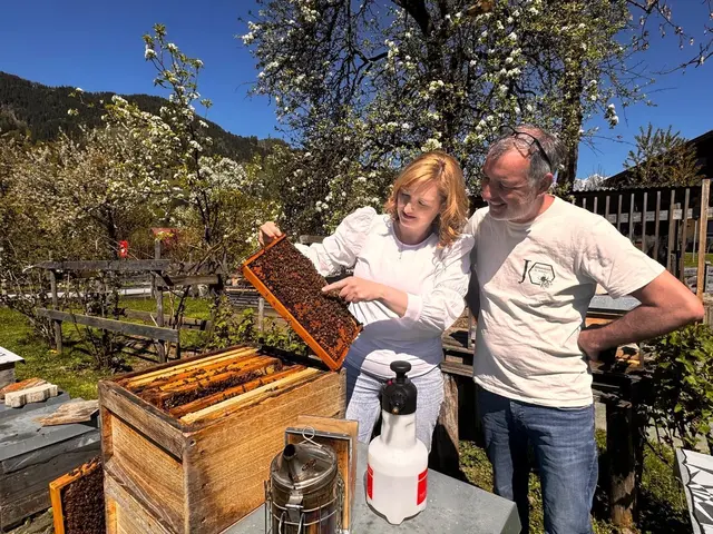 40.000-faches Summen: Die leise Macht der Pongauer Bienen