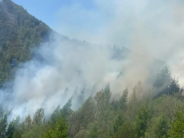 Der Waldbrand ist in einem schwer zugänglichen Gelände am Mühlbachkogel. | Foto: BFV Voitsberg