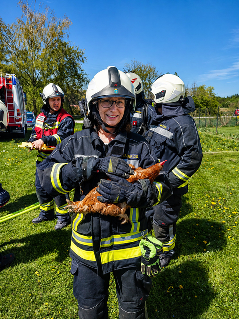 Neben dem Brandgeschehen sorgte ein besonderer Moment für Aufmerksamkeit: Ein Huhn, das sich im Haus befand, konnte von den Einsatzkräften rechtzeitig gerettet werden. | Foto: Bfkdo Amstetten / FF Wachtberg