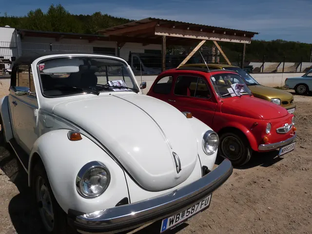 Foto: Vanessa Wittmann