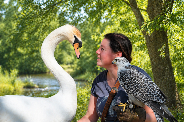 Ein Hof geprägt von Verantwortung und Respekt