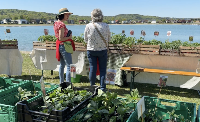 Foto: Elisabeth Kloiber/MeinBezirk