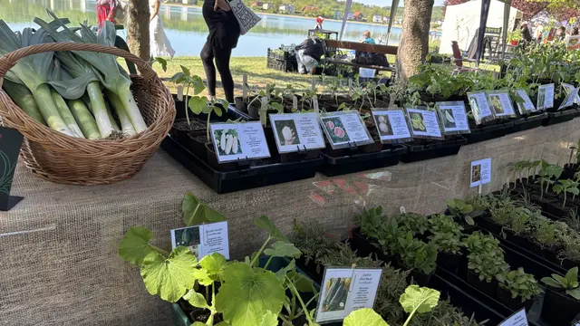 Foto: Elisabeth Kloiber/MeinBezirk