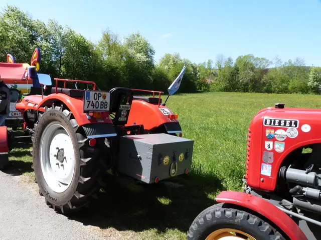 Foto: Vanessa Wittmann