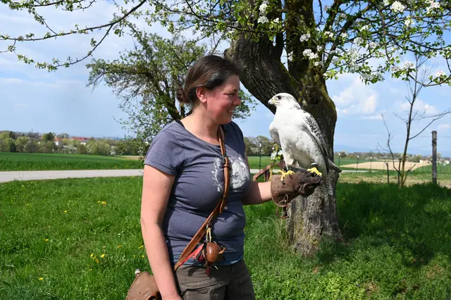  Susanne mit ihren Gerfalken: Der größte Falke der Welt  | Foto: 'Gerlinde Siebenhandl