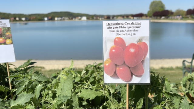 Foto: Elisabeth Kloiber/MeinBezirk