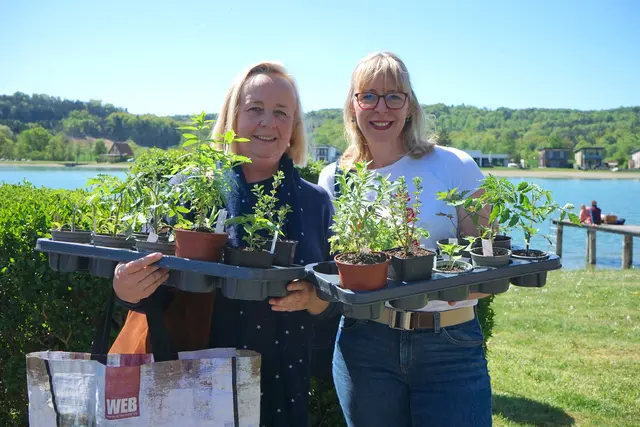 Auch aus Niederösterreich kamen die Besucherinnen und Besucher des Pflanzenmarktes nach Rauchwart angereist.  | Foto: Elisabeth Kloiber/MeinBezirk