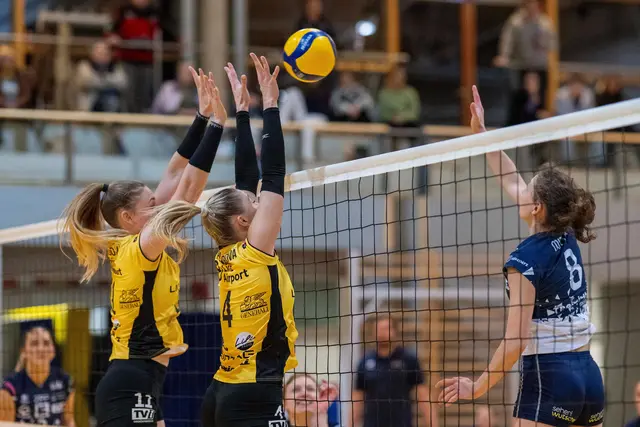 Julia Mitter überwindet den Block der Steelvolleys | Foto: GEPA pictures