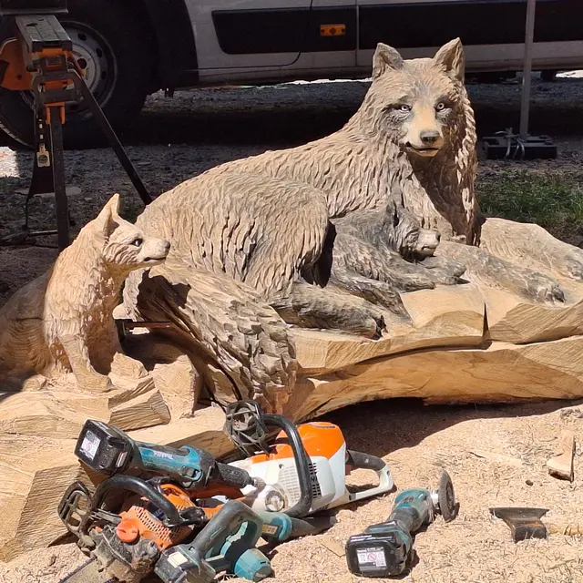 1 Internationales Motorsägen Kunsttage in Gallien, Pernegg,,.