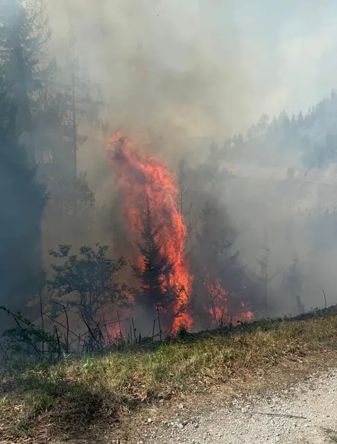 Der Brand hat sich in den Nachtstunden weiter ausgebreitet. | Foto: FF Gössendorf