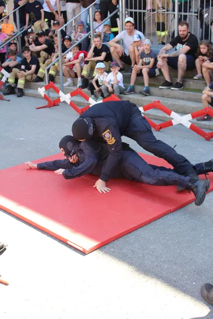 Vorführung der Justizwache