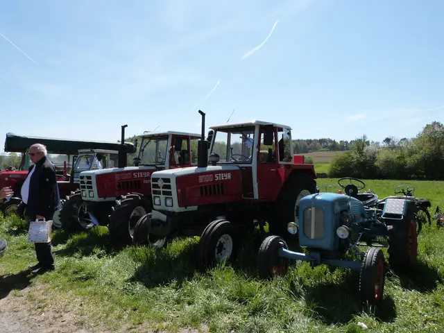 Foto: Vanessa Wittmann