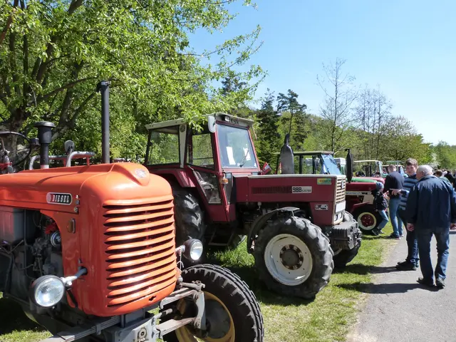 Foto: Vanessa Wittmann