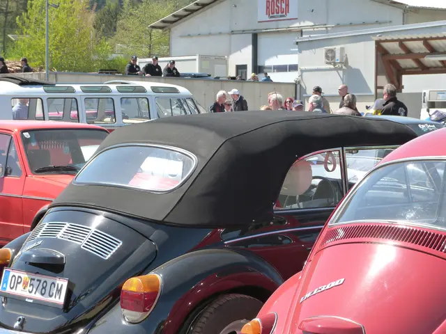 Foto: Vanessa Wittmann