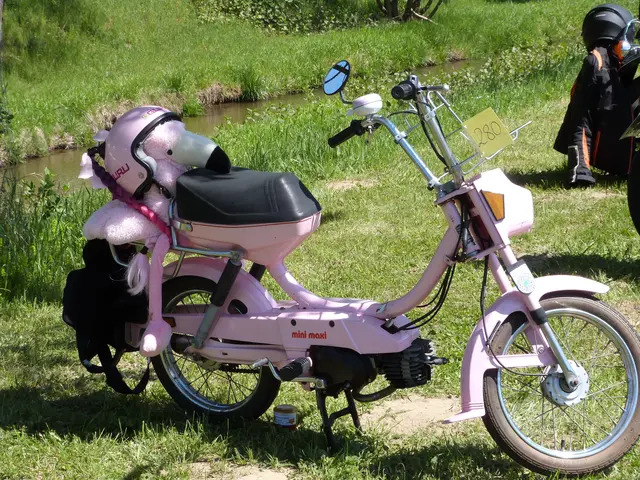 Foto: Vanessa Wittmann