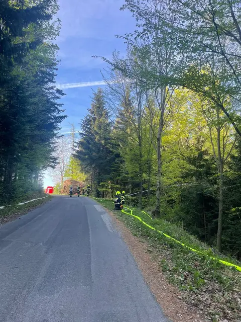 Foto: Bezirksführungsstab Wr Neustadt S5, Tobias Hübl, Teilnehmende Feuerwehren