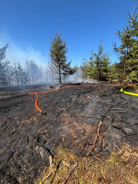  Etwa 1 Hektar Waldfläche ist betroffen. | Foto: David Gremsl, Georg Schwarz
