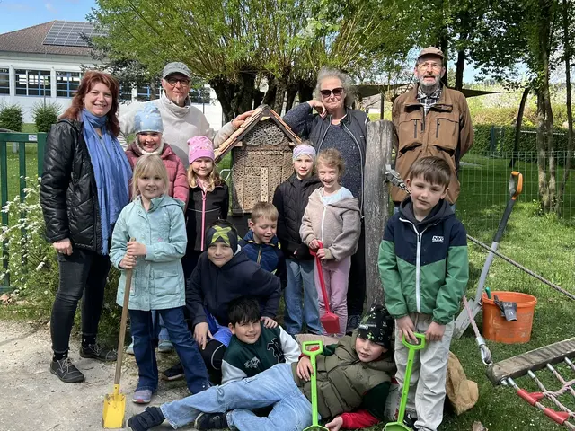 Hotelprojekt für Insekten von VS Saxen und Naturschutzbund