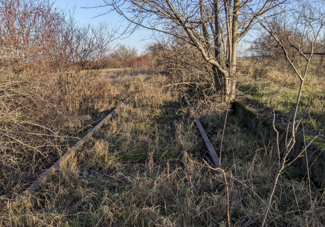 Ein Bild der ehemaligen Bahnhaltestelle in Röschitz. Die Bahnsteigkante ist im Winter noch gut erkennbar. | Foto: Privat