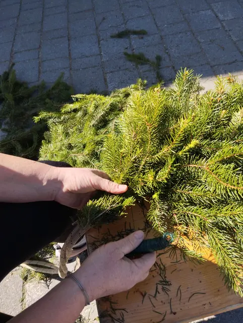 Kranzbinden für den Maibaum