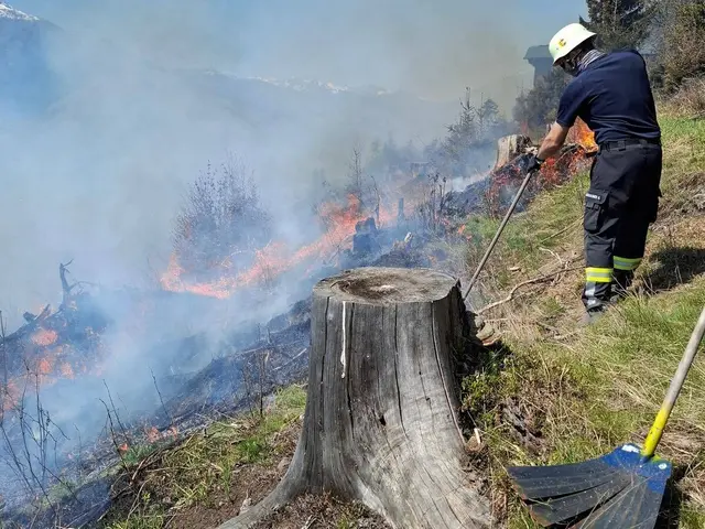 Foto: Landesfeuerwehrverband Kärnten