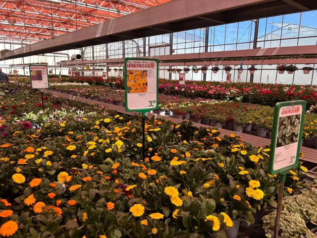 Foto: Manuela Danzinger