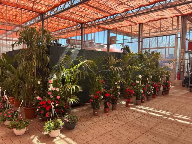 Foto: Manuela Danzinger