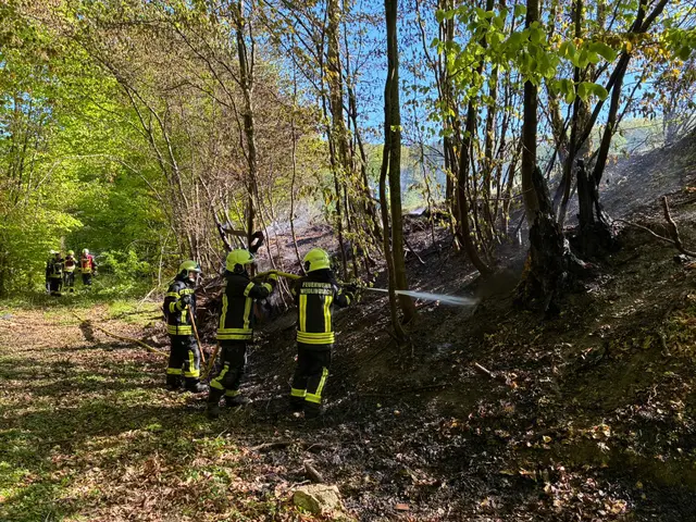Teilweise war schwerer Atemschutz notwendig, um den Vegetationsbrand zu löschen. | Foto: FF Weidlingbach