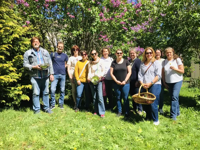 So holst du das Beste aus heimischen Frühlingskräutern heraus