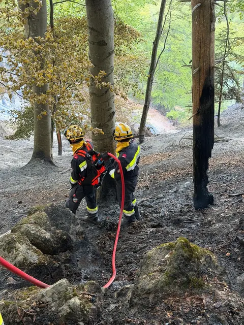 Die Steilheit des Geländes stellt für die Einsatzkräfte eine zusätzliche Herausforderung dar. | Foto: Presseteam BFVRA / Konrad