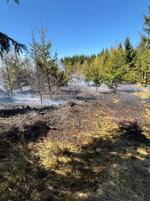 Großbrand nahe Höhwirt, 220 Feuerwehrleute kämpfen gegen Flammen