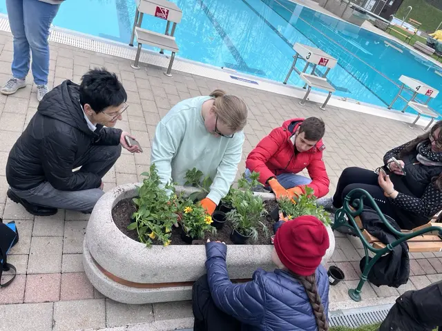Brückenschule Langenhart macht das Freibad schöner