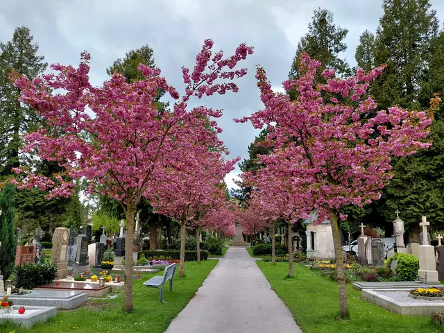 HIER GEHT'S ZUM STADTSPAZIERGANG | Foto: H.Bachinger