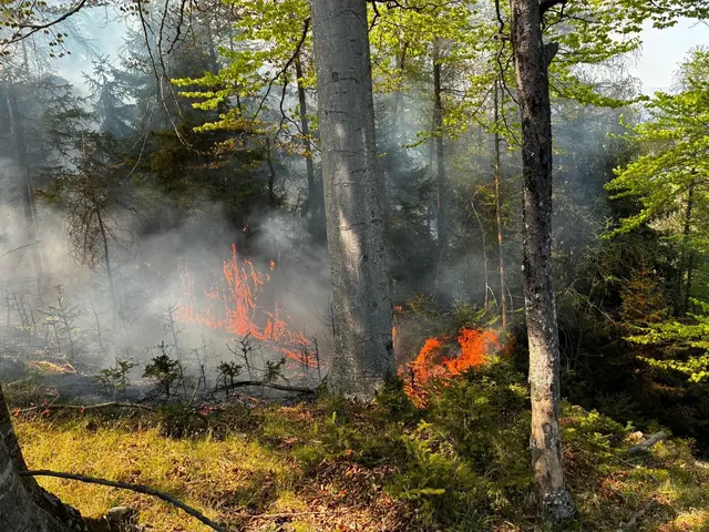 Das unwegsame Gelände und der starke Wind machen die Löscharbeiten zur Herausforderung. | Foto: BFVGU