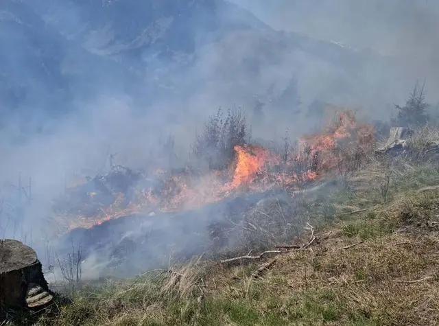 Foto: Freiwillige Feuerwehr Jadersdorf