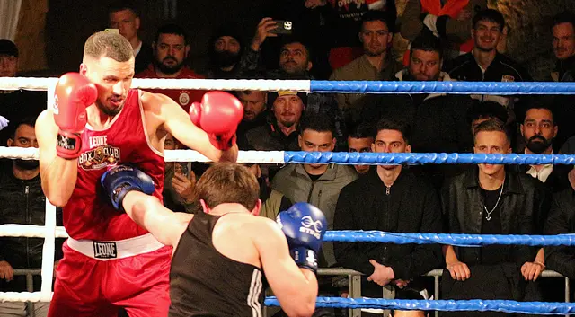 TBV und BC Steinadler wählten Box-Präsidium