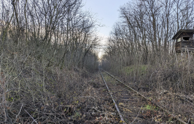 Ein Blick auf die besagte Bahnstrecke zwischen Röschitz und Pulkau mit Blickrichtung Pulkau. | Foto: Privat