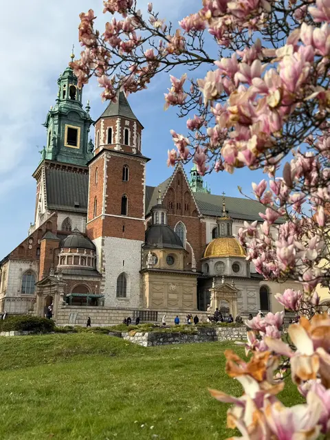 Foto: (c) BG Babenbergerring