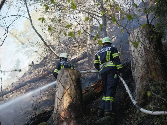 Auch am fünften Tag wurde der intensive Löscheinsatz im Lesachtal unermüdlich fortgesetzt. In der Nacht flammten innerhalb der bereits betroffenen Fläche von rund 110 Hektar erneut einzelne Glutnester auf, die umgehend bekämpft wurden. | Foto: Landesfeuerwehrverband Kärnten